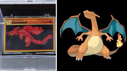 Pokemon şeklindeki atıştırmalık 3.2 milyon liraya satıldı - Dünya