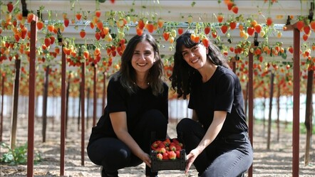 Kendi işlerinin patronu oldular! Topraksız tarımla serada çilek üretiyorlar! - yasam