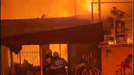 İzmir'de korkutan yangın! Geceyi alevler aydınlattı - gundem