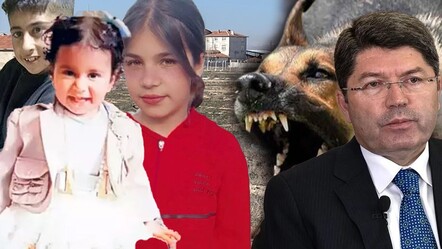 Bakan Tunç belediyeleri uyardı: Başıboş köpek saldırılarına soruşturma - gundem