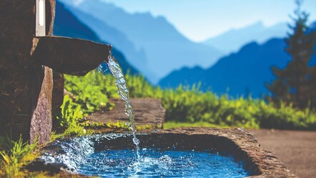 Bataklıktaki sivrisinekler  - Günün Yazısı - yasam