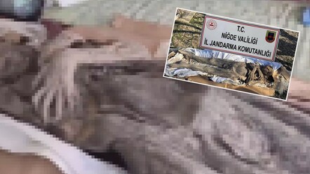 Böylesi ne görüldü ne duyuldu! Ortaçağ'a ait mumyayı satmak isterken yakalandılar - yasam