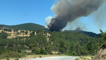 Çanakkale'de orman yangını! 3 hektarlık alan zarar gördü - gundem