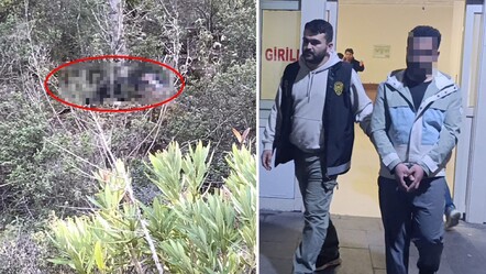 Kesik baş cinayetinde gerçek ortaya çıktı! Her şey define içinmiş - gundem