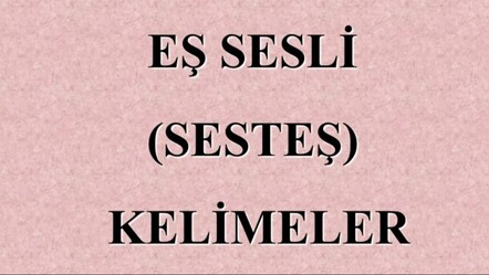 Eş Sesli (Sesteş) Kelimeler: Aynı ses, farklı anlamlar! - EĞITIM