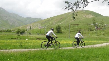 Parkta faciayı yaşadı! Bisikletin çarptığı yaşlı kadın hayatını kaybetti - dunya