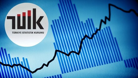TÜİK, 