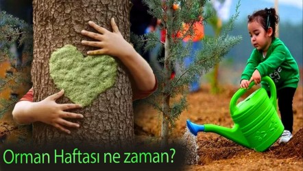 Orman Haftası ne zaman? Orman Haftası neden kutlanır? 2025 Orman Haftası sözleri ve mesajları - Haberler