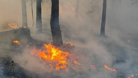 Trabzon'da korkutan yangın! Ormanlık alanda yükselen alevlere müdahale ediliyor - haberler