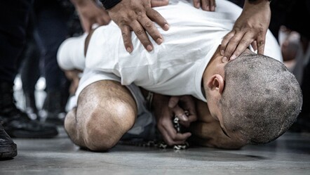 ABD sınır dışı etti! 261 çete üyesi El Salvador'a getirildi - dunya