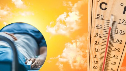 Bilim insanlarından uyarı: Artan sıcaklıklar bu hastalıklara yol açabilir! - haberler