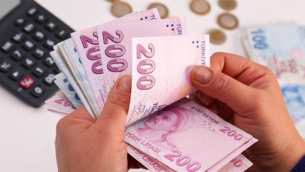 Bakan duyurdu! 1 milyar 224 milyon lira hesaplara yatırıldı - Ekonomi