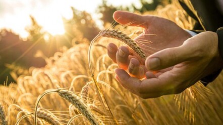 Uyumaya çalışırken, uyanmak - Günün Yazısı - yasam