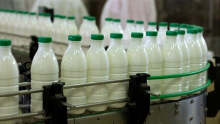 40 yıllık şirket iflasın eşiğinde! Türkiye'nin ünlü süt markası konkordato ilan etti - ekonomi