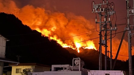 Japonya'nın 2 eyaleti alevlere teslim! 355 hektarlık alan küle döndü - Dünya