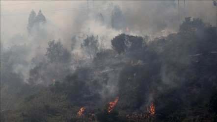 Şili'de büyük orman yangını! 2 bin kişi tahliye edildi - Dünya