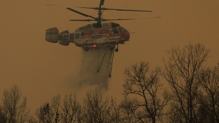 Güney Kore'de helikopter düştü! Pilot hayatını kaybetti - dunya
