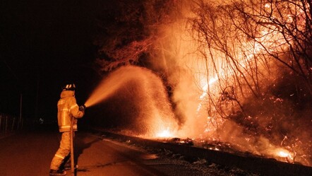 Güney Kore'de bir haftadır yanıyor! Can kaybı da yaralı sayısı da arttı - gundem