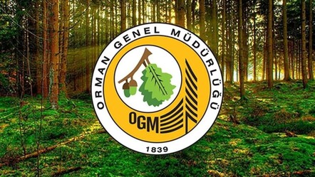 OGM kura çekilişi sonuçları ne zaman, nereden açıklanacak? Orman Genel Müdürlüğü 4 bin 500 işçi alımı kurası çekildi - haberler