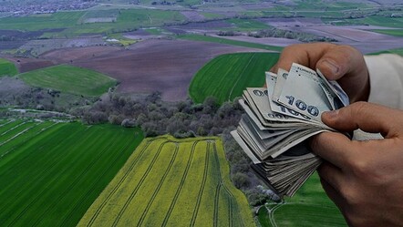 Milli Emlak ilan açtı! 25 bin liraya tarla, 65 bin liraya arsa satışa çıktı - emlak