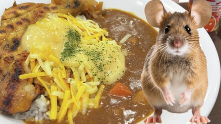 Yiyeceklerde fare ve böcek çıktı! Ünlü restoran yüzlerce mağazasını kapattı - dunya