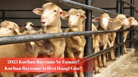 Kurban bayramı ne zaman? Bayram arifesi tarihi merak edildi! - haberler