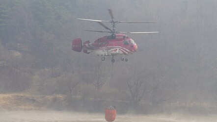 Güney Kore'de orman yangınına müdahale eden helikopter dağa çakıldı! Pilot hayatını kaybetti - gundem