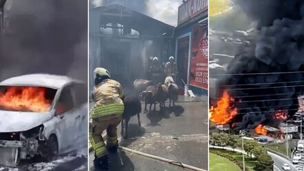 İstanbul'da kimya deposunda korkutan yangın! Hayvanlar telef oldu, araçlar küle döndü - haberler