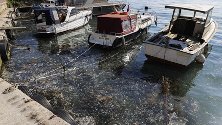 İstanbul Boğazı'nda müsilaj alarmı! Kabus geri döndü, Beykoz sahillerine vurdu - gundem