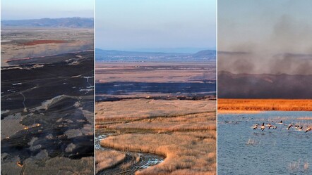 Milli Park'ta yangın! Alevler rüzgarın etkisiyle büyüyor - 3-sayfa
