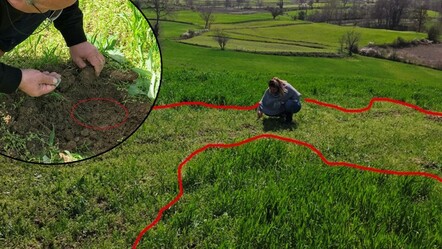 İsmi duyulmayan böcekler ortaya çıkacak! Tarlalar için tehlike çanları çalıyor... Bu sene çok farklı - yasam