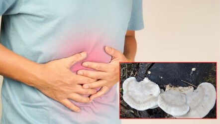 Ne biber ne isot...Dünyanın en acı maddesi belli oldu! - yasam