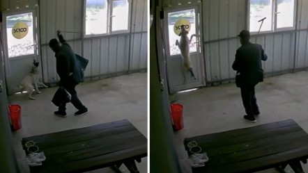Edirne'de yürekleri sızlatan görüntü! 5 aylık köpeği bastonla dövdü - 3. Sayfa