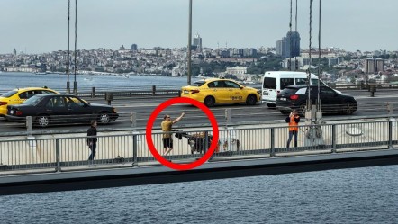 Kıtalararası yürüyüşte tarihi an! 15 Temmuz Şehitler Köprüsü’nü de geçti - Yaşam