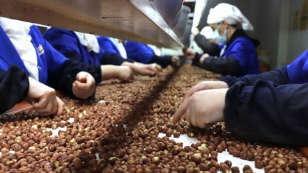 Türkiye'ye 8 ayda 1,9 milyar dolar gelir sağladı - Ekonomi