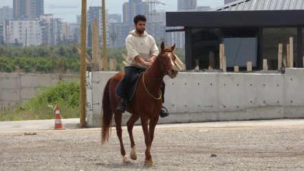 Atla giderken polis durdurdu, yediği cezaya anlam veremedi: Böyle bir ceza şekli yok - Yaşam