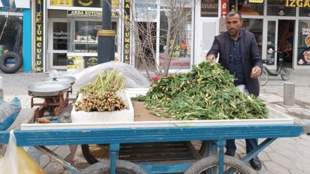 Baharın müjdecisi olarak biliniyor! Tezgahlarda yerini aldı - Yaşam