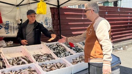 Balıkçı tezgahlarında çeşitlilik devam ediyor! İşte mezgit, barbun ve istavritin fiyatı - Ekonomi