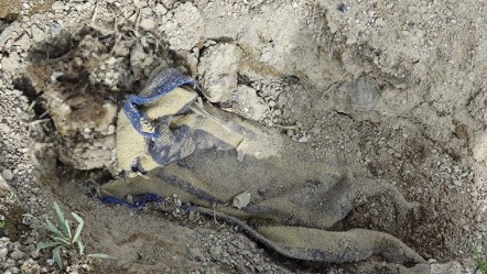 Çoban boş arazide koyun otlatırken buldu! Önce inanmadılar, gerçek şoke etti - 3. Sayfa