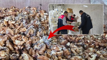 Depolarında tonlarca kurtlanmış ceviz yakalanmıştı! Ünlü baklavacıdan çelişkili açıklamalar - Ekonomi