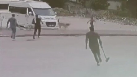Adana'da panik anları! Başıboş köpekler iki çocuğa saldırdı, işte o görüntüler - Gündem