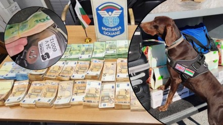 Danimarka'dan Ürdün'e gidecekti, Türkiye'de ele geçirildi! 351 bin euro dedektör köpek sayesinde bulundu - Gündem