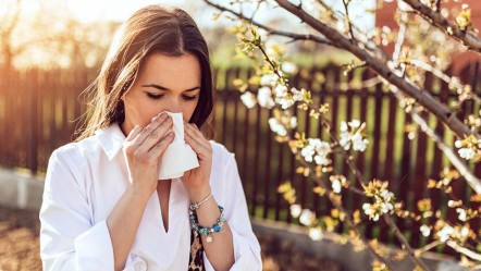 Meteoroloji ve AÜ işbirliği! Alerjisi olanlar dikkat, 3 günde bir güncelleniyor - Gündem