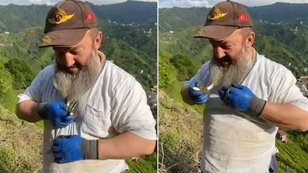 1 metre boyunda, zehir saçıyor! Herkes kaçarken o boynuna kolay gibi doladı - Yaşam
