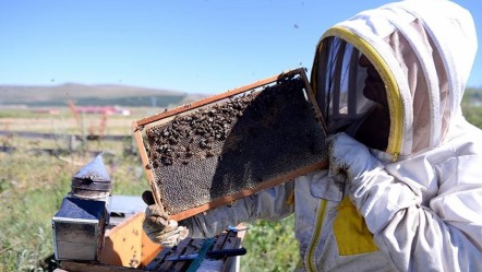 AB yolunda imzalar atıldı! Türk ekonomisine büyük katkı sağlayacak - Ekonomi