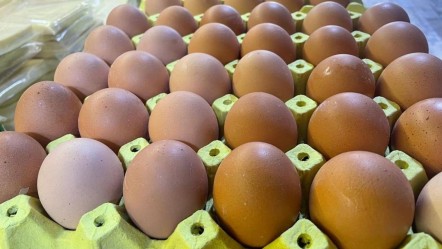 Bunu öğrenince yumurtanın kabuğunu atmayacaksınız! "Çok değerli..." - Ekonomi