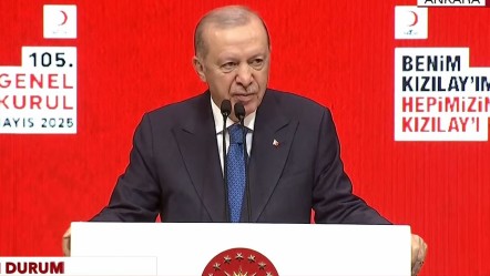 Cumhurbaşkanı Erdoğan'dan önemli açıklamalar - Gündem
