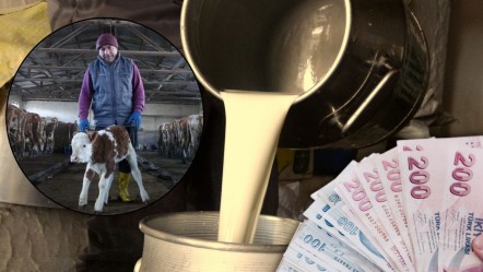 Maliyete zam gelmesine rağmen fiyat aynı kaldı, işletmeler kapandı! 21 TL'lik ürünü 16 TL'ye sattılar - Ekonomi