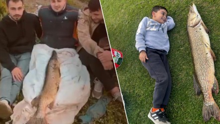 Dev turna balığını yakaladı, birinci oldu! Sevincinden bebek gibi kucağında salladı - Yaşam
