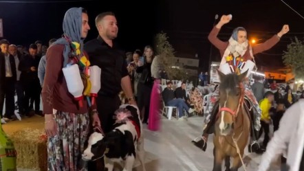 Düğünde geline buzağı sürprizi! Takı yerine damada verilen hediyeler şaşkına çevirdi - Yaşam